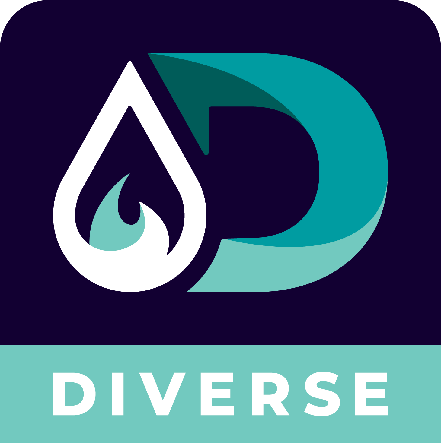 Diverse Plumbing & Roofing