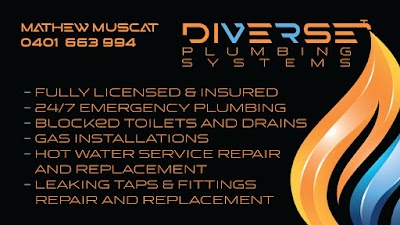 Diverse Plumbing Systems work 1