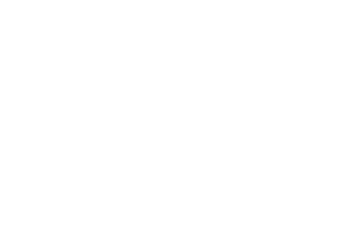 DNA Construction