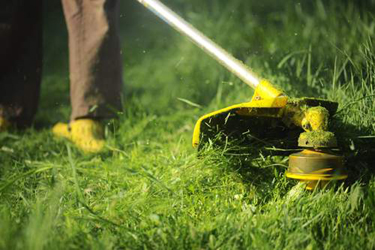 Do It Dave Handyman & Lawnmowing Services - Blue Mountains | Penrith | Hawkesbury | Blacktown work 4
