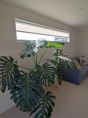 dollar curtains + blinds Geelong work 4