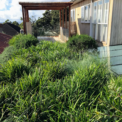 Down To Earth Irrigation project 4