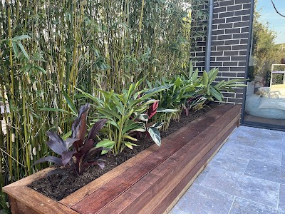 Residential Garden & Landscape Maintenance Service, Sydney - Dr Garden work 2