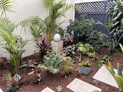 Residential Garden & Landscape Maintenance Service, Sydney - Dr Garden work 3