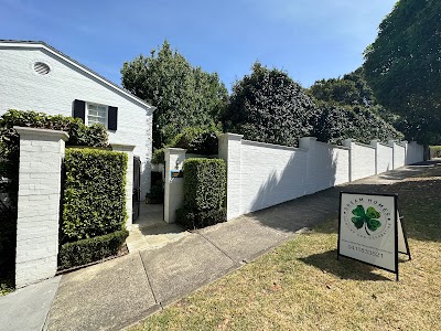 Dream Homes Painting project 6