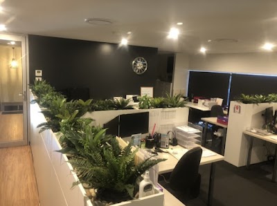 Drop Dead Pest Control work 3