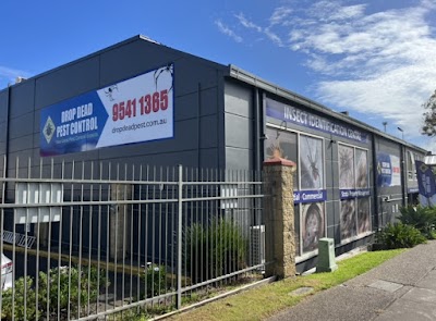 Drop Dead Pest Control work 4