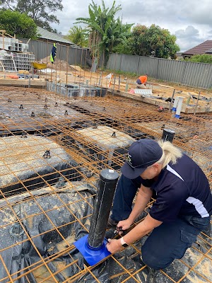 Drop Dead Pest Control project 5