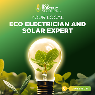 Eco Electric Solutions project 6