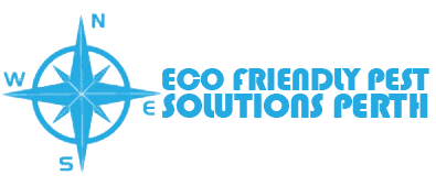 Eco Friendly Pest Solutions