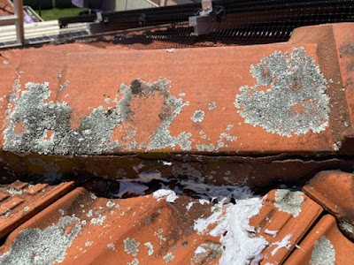 EcoKleenSolar Nepean project 4