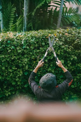 Eden East Gardening work 3