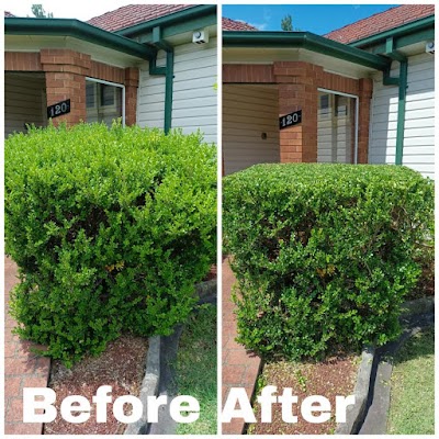 Eden East Gardening project 6