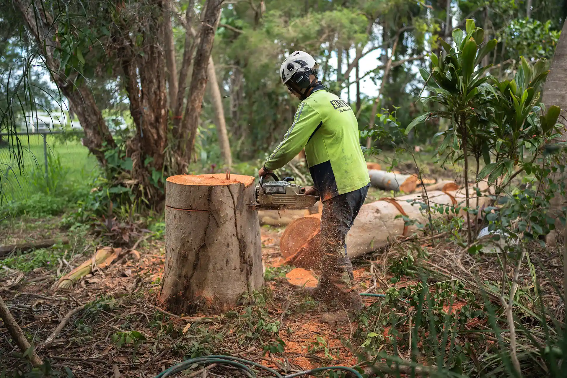 Eden Tree Service