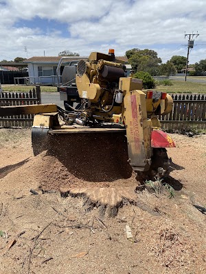 EDI Tree & Garden photo 3