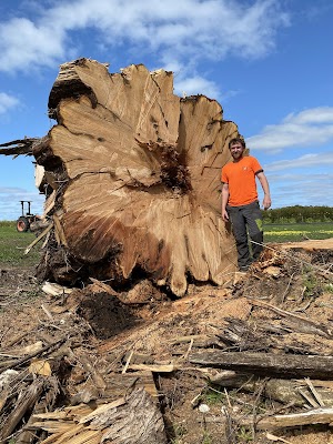 EDI Tree & Garden project 4