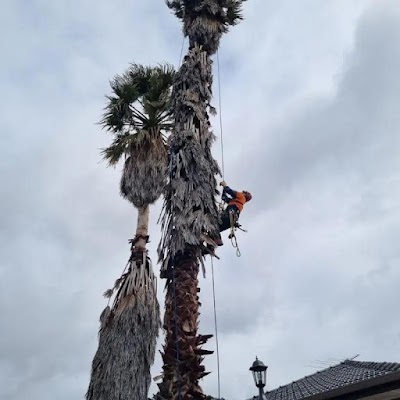 Eid Tree Services photo 3