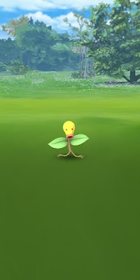 Elander Carpet Cleaning