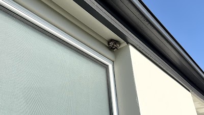 EMK Termite & Pest Control Sydney