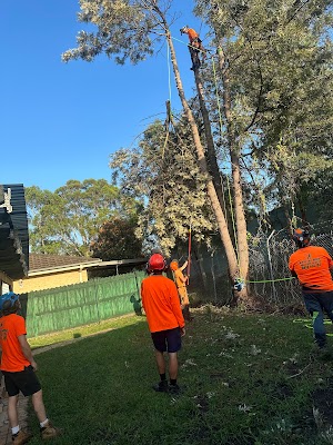 ENVIRO TREE WORKS photo 2