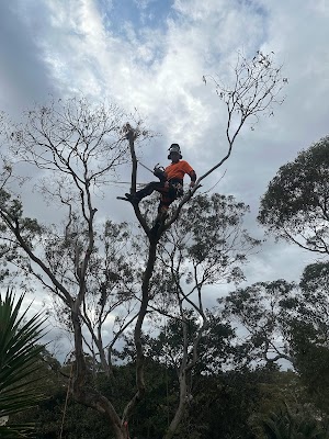 ENVIRO TREE WORKS photo 3