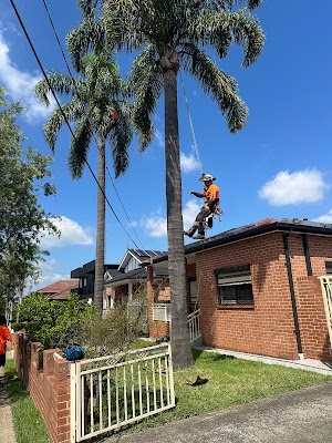 ENVIRO TREE WORKS project 4