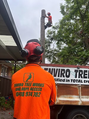 ENVIRO TREE WORKS project 6