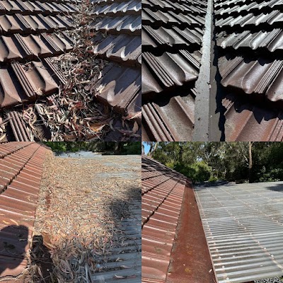 Enviro Vac Services | Vacuum Gutter Cleaning project 5