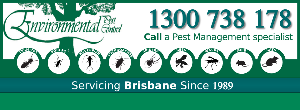 Environmental Pest Control