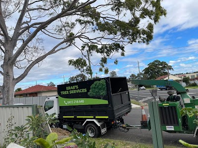 Erae's Tree Service project 4