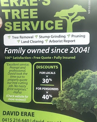 Erae's Tree Service project 5