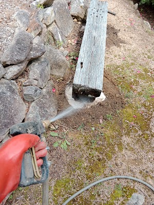 Erase Pest Control Mount Annan work 2