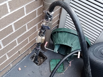 Erase Pest Control Mount Annan work 3