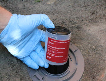 Erase Pest Control Mount Annan work 4