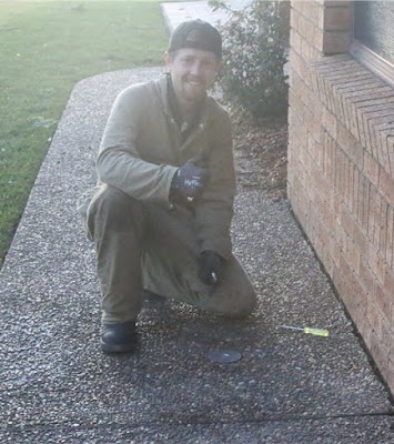 Erase Pest Control Mount Annan project 5