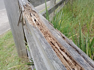 Erase Pest Control Mount Annan project 6