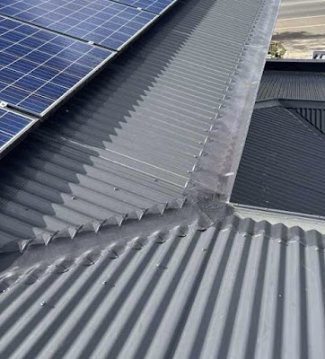 Essential Pest Solutions - Pest Control Geelong work 2