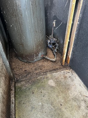 Essential Pest Solutions - Pest Control Geelong project 6