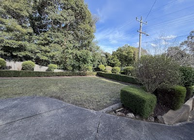 Evergreen Land Care project 5