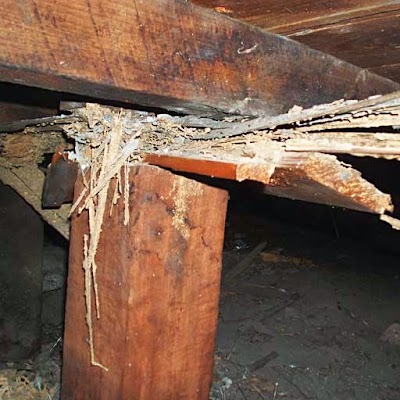 Exopest - A Flick Anticimex Company project 5