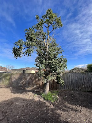 Expert Demolition work 4