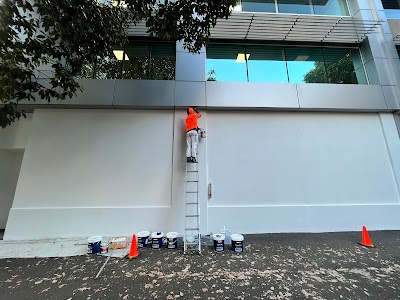 Exuberant Painting work 2