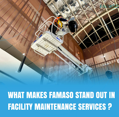 FAMASO Facility Services project 5