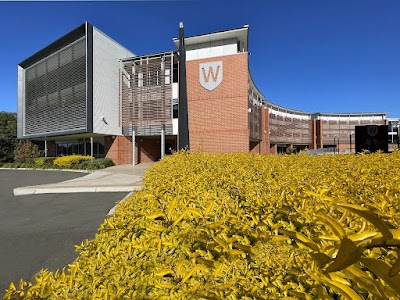 FernForm Constructions work 4