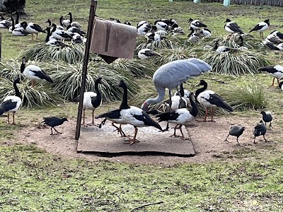 Fig Facility Services project 5