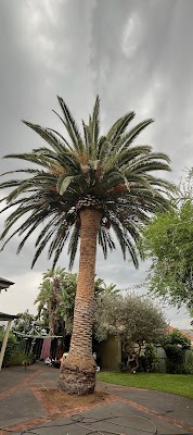 Final Cut Tree Solutions work 4