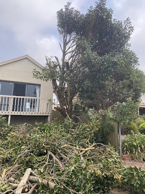 Five Acres Trees photo 3