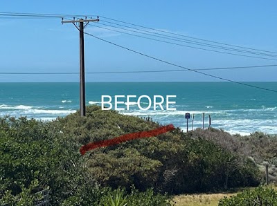 Five Acres Trees project 5