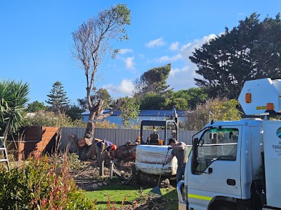 Five Acres Trees project 6