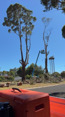 FLC Services project 5